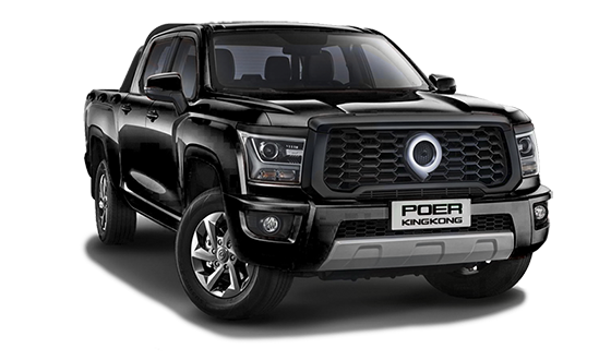 Haval GWM Poer KingKong
